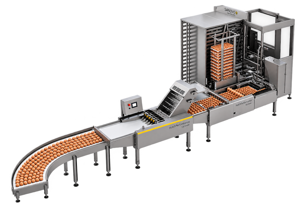HatchPerformance Egg Grader sorting and stacking fresh eggs