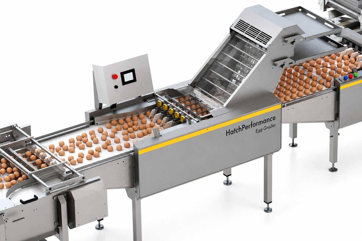 HatchPerformance Egg Grader sorting eggs by size on the production line