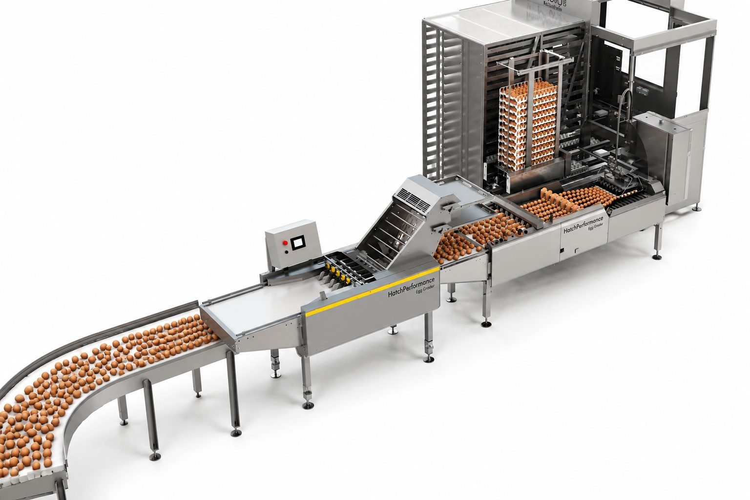 HatchPerformance Egg Grader packing graded eggs into trays for distribution